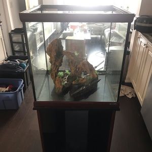 Cube fish tank plus accessories